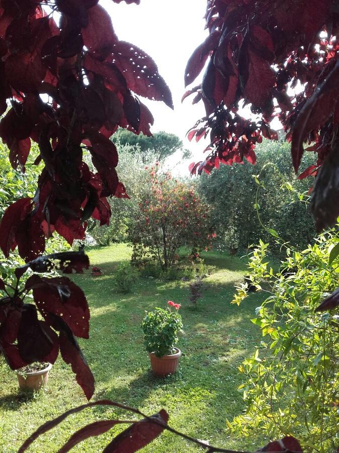 Aliso' Daire Sarzana Dış mekan fotoğraf